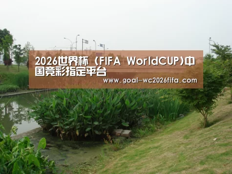 案例展示四(图1)