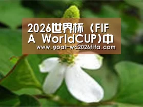 产品名称三