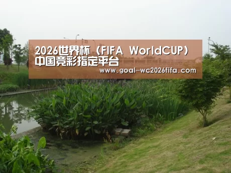 案例展示四
