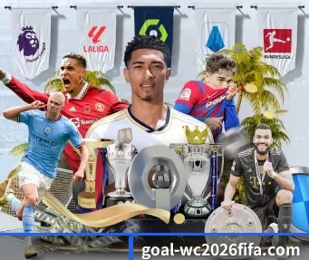 2026世界杯 APP